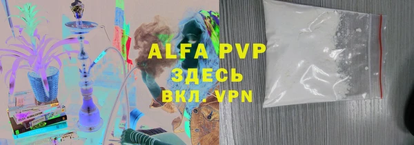прущие грибы Абинск