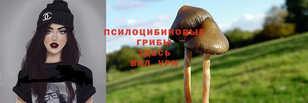 амфетамин Алексеевка