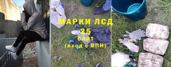 PSILOCYBIN Абаза
