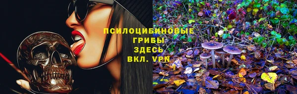 прущие грибы Абинск
